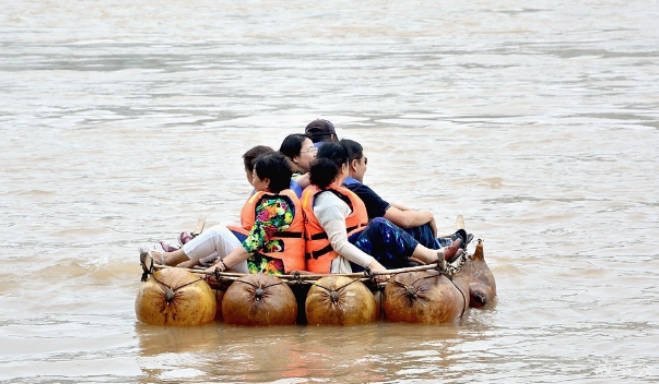 网络图片(侵删)