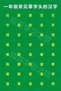 草字头加高加木读什么_一年级常见的草字头的字