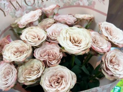 价格每支1-2元!今年七夕,玫瑰花可冲