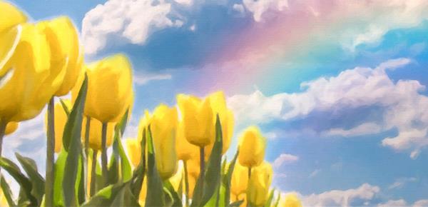 学心理学会不会变疯