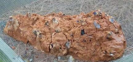 农村大叔山中发现奇怪泥团,清洗过后让他收获一笔意外之财!