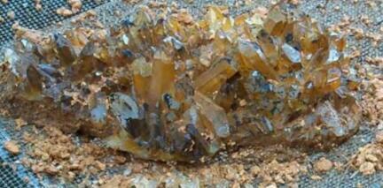 农村大叔山中发现奇怪泥团,清洗过后让他收获一笔意外之财!