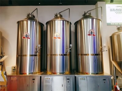 ​自酿啤酒设备一套多少钱