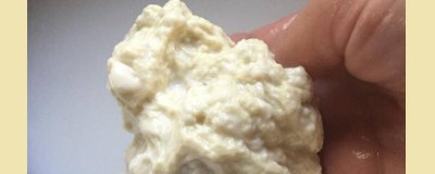 面筋放酵母粉需要发酵多长时间才能发酵 面筋用酵母粉发面多长时间