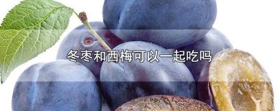 西梅能和鲜枣一起吃吗宝宝 西梅能和鲜枣一起吃吗会中毒吗