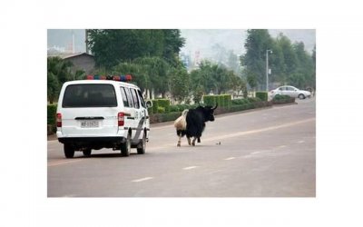 陈妍希的料,为什么同样有黑料的陈妍希婚姻会不幸福