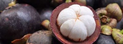 怎么快速徒手剥山竹,怎么快速徒手剥山竹壳