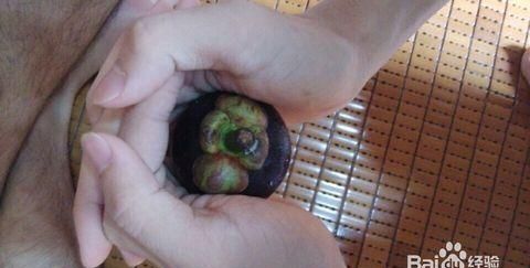 山竹应该怎么剥皮