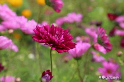分手后男朋友还爱你的表现(分手后的表现)