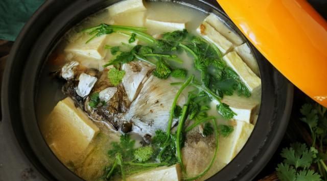 鱼头豆腐汤可以用草鱼头吗