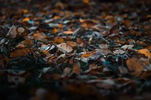 造成酸雨的气体有哪些(造成酸雨的三种气体)