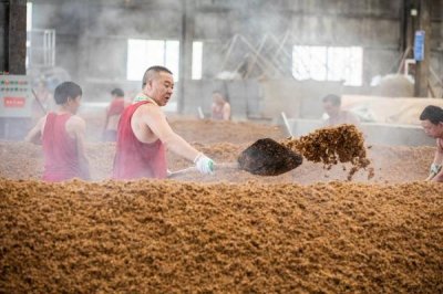 ​白酒古法酿造工艺流程，白酒古法酿造工艺流程图