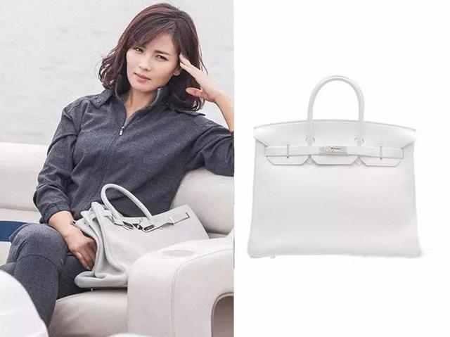 爱马仕包一览（爱马仕又出新包了）(5)