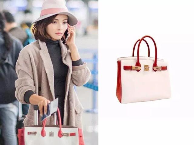 爱马仕包一览（爱马仕又出新包了）(3)