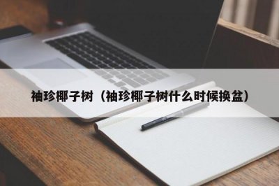 ​袖珍椰子树（袖珍椰子树什么时候换盆）