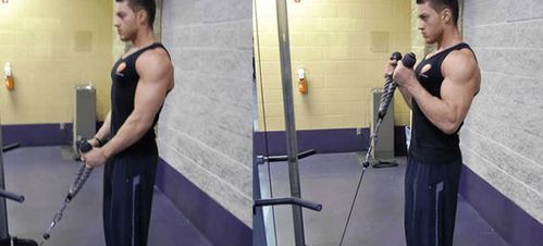 练宏二头肌有几种锻炼方式