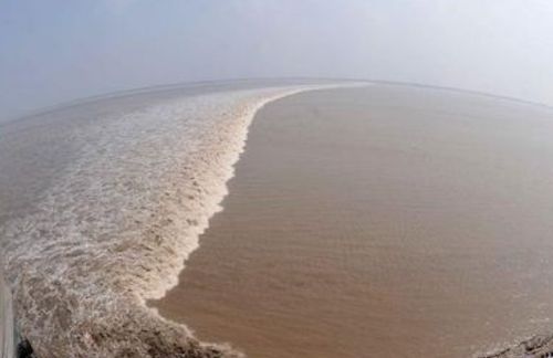 钱塘江的潮水每天什么时候来?一天来几次?