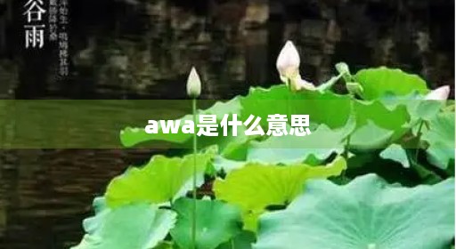 awa是什么意思
