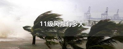 ​11级风力有多大