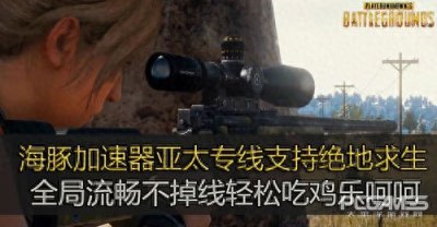 ​值得推荐的绝地求生加速器？海豚稳效果好价格优