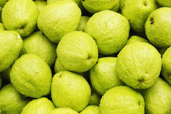 番石榴是热性的吗 番石榴是哪个季节的水果 番石榴是热性的吗 番石榴是哪个季节的水果