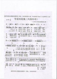 ​等爱的玫瑰歌词（等爱的玫瑰歌词是什么）