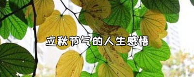 ​立秋节气的人生感悟句子有哪些