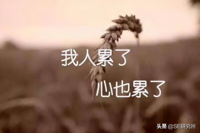 ​白色衣服染色了用什么方法可以去掉（白色衣服给染色了怎么去色简单的方法）