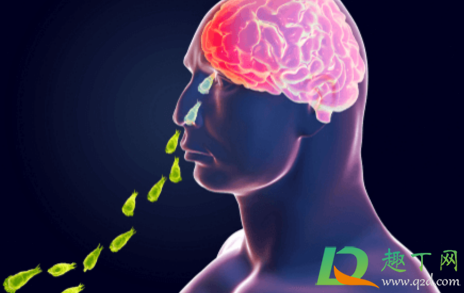 美国再现食脑虫是真的吗9月2