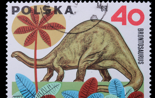 邮票的起源故事,邮票的来历图3