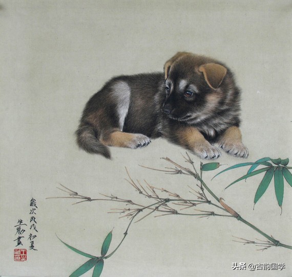 哪些属相不适合戴珍珠(12属相佩戴饰物禁忌)