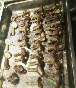 ​大学食堂里的“奇葩菜”，蓝瘦香菇上榜，尤其是最后一种太抢眼了