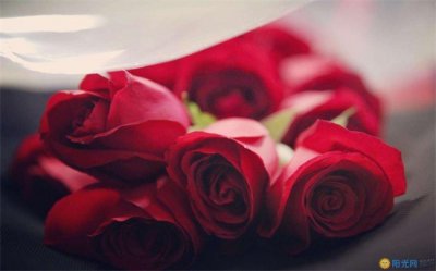 ​情人节有什么美好的寓意呢