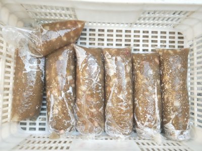 ​河北肉焖子的家常做法 教你制作河北肉焖子