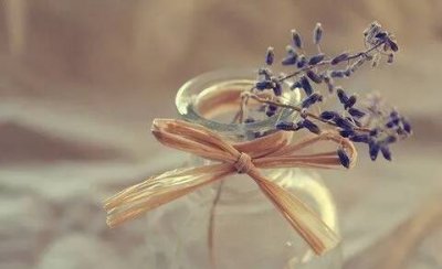 ​高考的祝福语句简短(高考加油的励志短句)