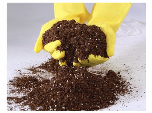 买的营养土还用掺土吗（昂贵的营养土调配有秘方）
