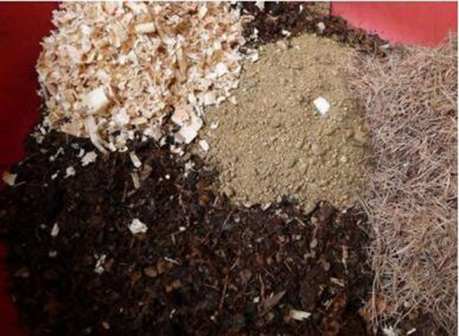 买的营养土还用掺土吗（昂贵的营养土调配有秘方）