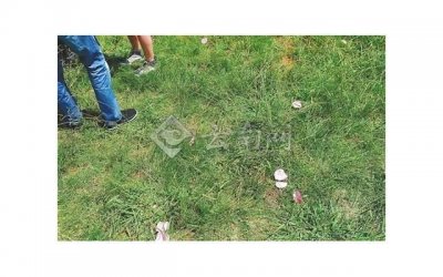 ​和女生聊天不温不火，怎么提升关系？