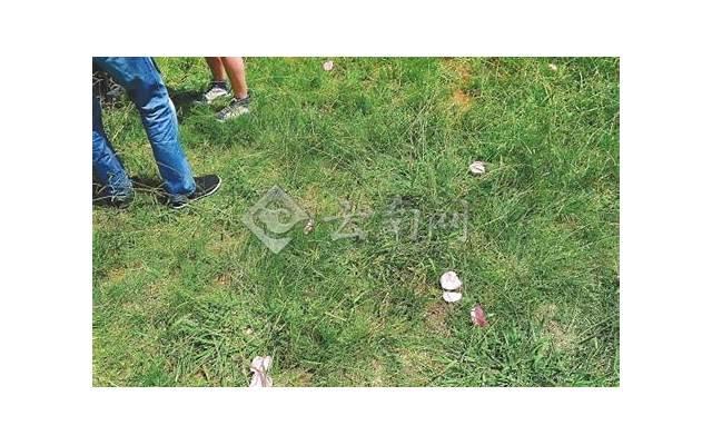 和女生聊天不温不火,怎么提升关系? 和女生聊天不温不火,怎么提升关系?