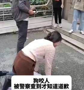 ​“绝不原谅”！狗主人装看客被发现后下跪道歉，养狗风波再起