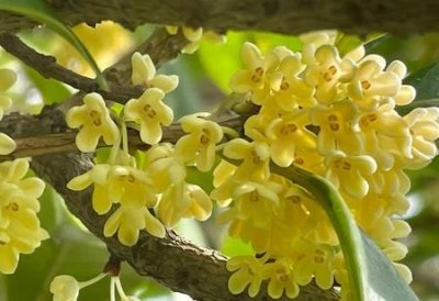 男人出轨还对自己的妻子好这男人正常吗