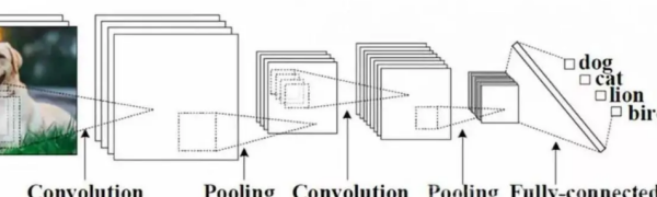 cnn是什么,网络用语cnn是什么意思图3