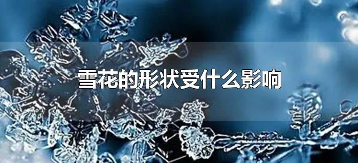 雪花的形状受什么影响