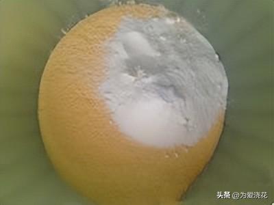 自制狗粮制作方法配方大全(狗粮的制作方法)(9)