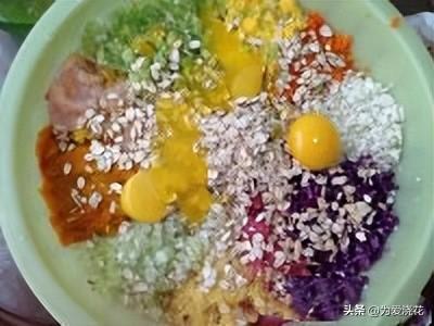 自制狗粮制作方法配方大全(狗粮的制作方法)(10)