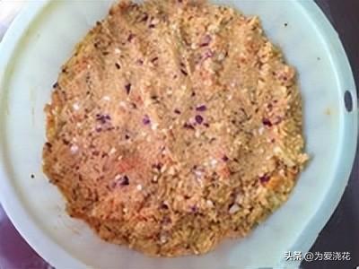 自制狗粮制作方法配方大全(狗粮的制作方法)(11)