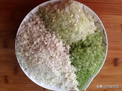 自制狗粮制作方法配方大全(狗粮的制作方法)(7)
