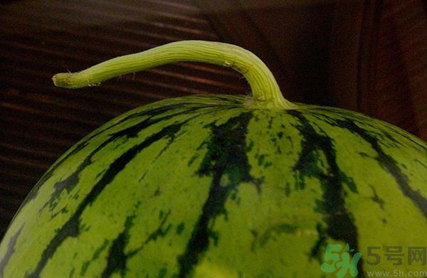 吃西瓜可以丰胸吗 吃西瓜能不能丰胸 吃西瓜可以丰胸吗 吃西瓜能不能丰胸