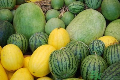 ​吃西瓜可以丰胸吗 吃西瓜能不能丰胸