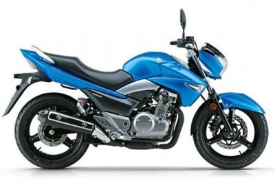 ​豪爵铃木骊驰gw250巡航版（豪爵铃木骊驰GW250）